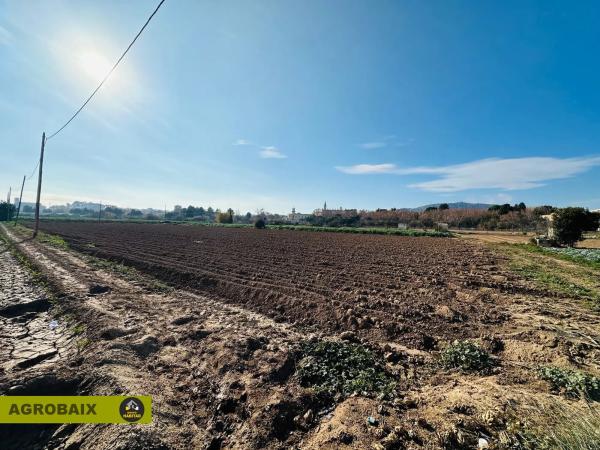 Terreno en Ciutat Cooperativa - Moli Nou