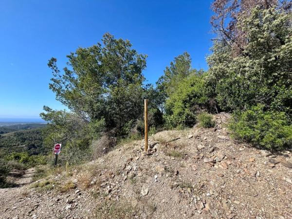 Terreno en Poligono 8 Parcela 13, 8