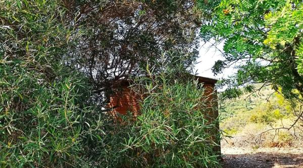 Terreno en camino de Torrelles de Llobregat s/n