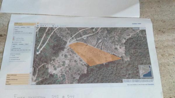 Terreno en camino de Torrelles de Llobregat s/n