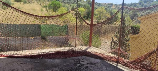 Terreno en camino de Can Biosca