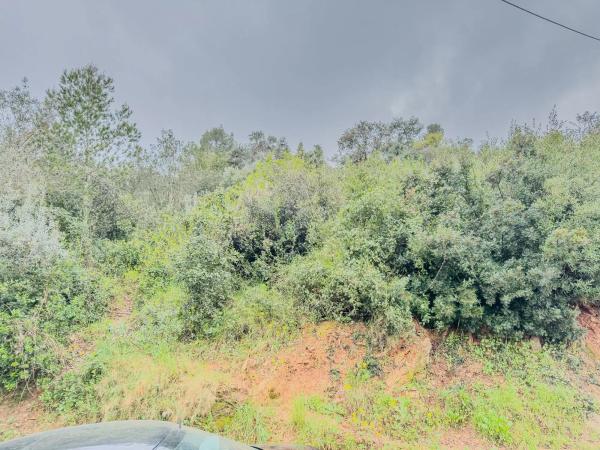 Terreno en calle Pau Casals, 9