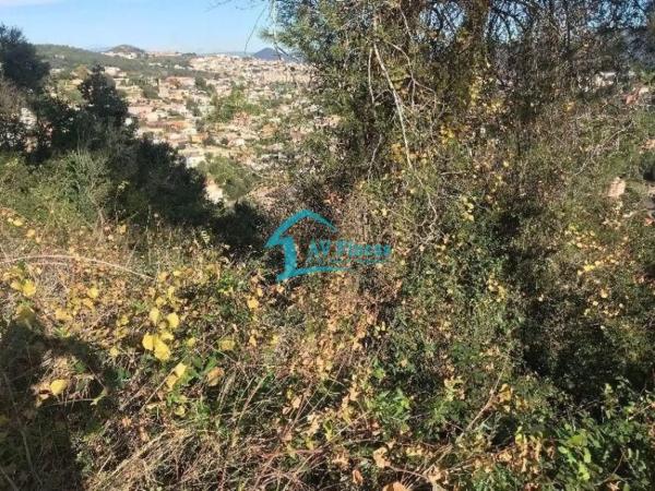 Terreno en calle Pins, 38