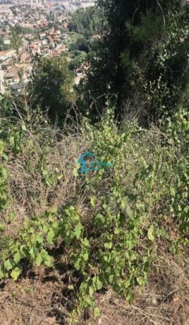 Terreno en calle Pins, 38