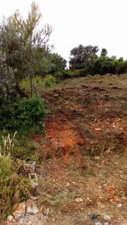 Terreno en calle Pau Casals, 9