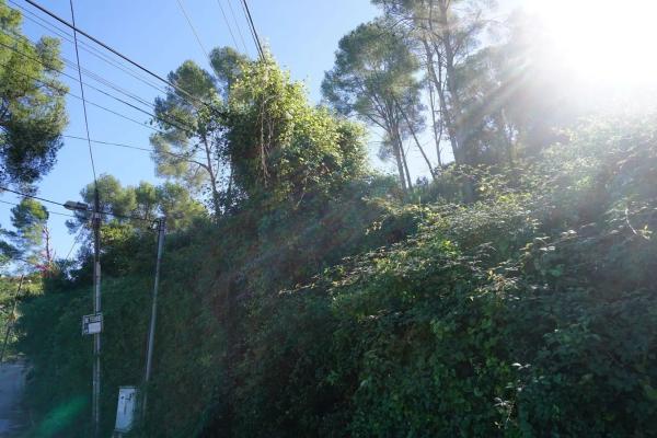 Terreno en Sant Vicenç Dels Horts