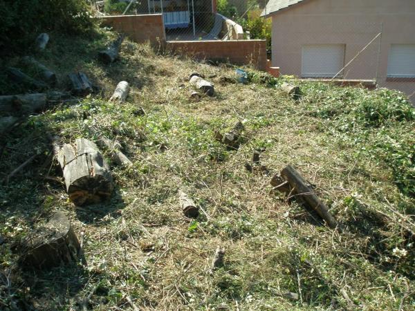 Terreno en Sant Vicenç Dels Horts