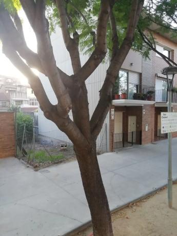 Terreno en plaza de la Vila Vella, 7