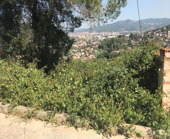 Terreno en calle Pins