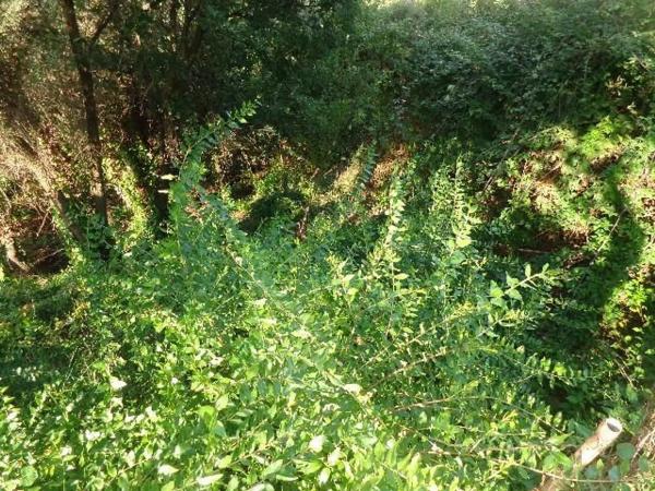 Terreno en calle Pau Casals