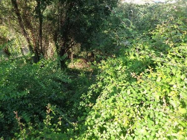 Terreno en calle Pau Casals