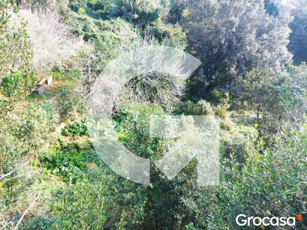 Terreno en avenida Dolça de Provença