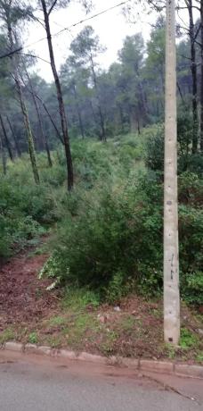 Terreno en avenida Quarta, Urb. Can Güell, 46