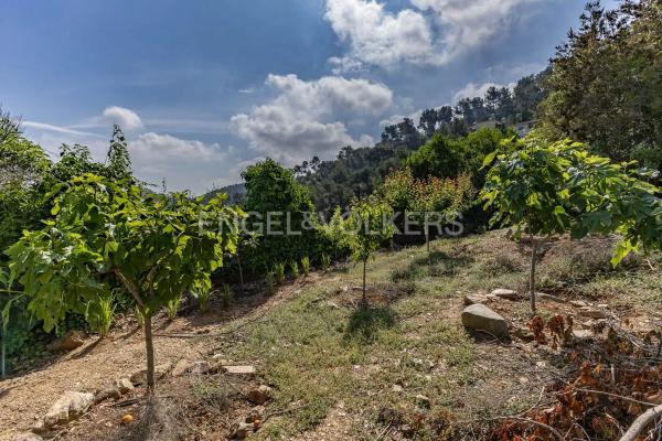 Terreno en Torrelles de Llobregat