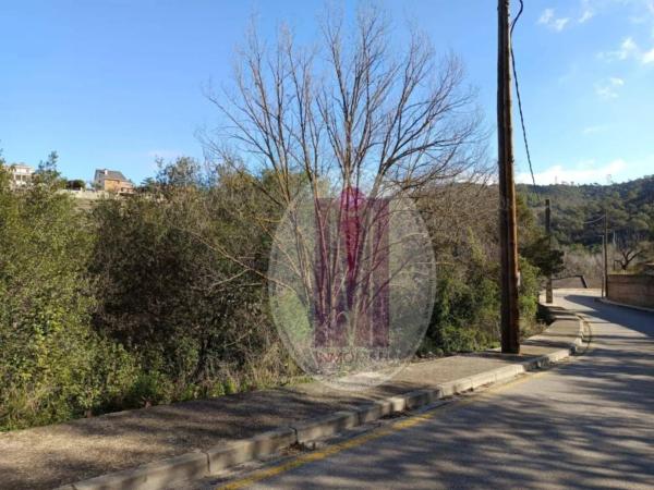 Terreno en calle de la Font Bosquina