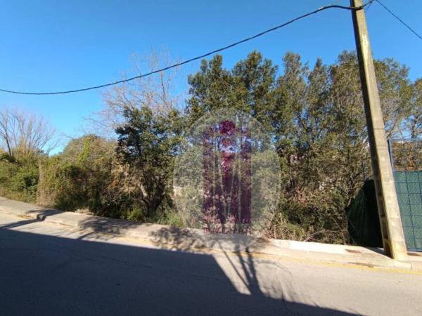 Terreno en calle de la Font Bosquina