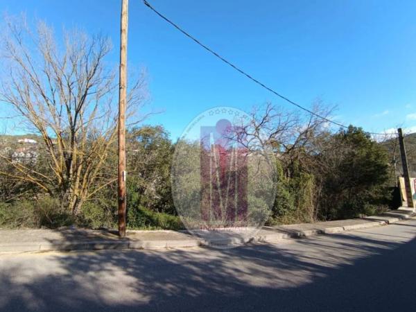 Terreno en calle de la Font Bosquina