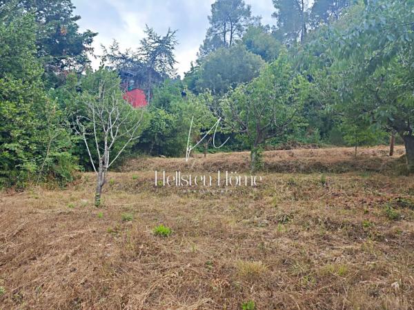 Terreno en calle de la Font Bosquina