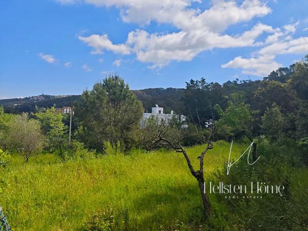 Terreno en calle de la Font Bosquina