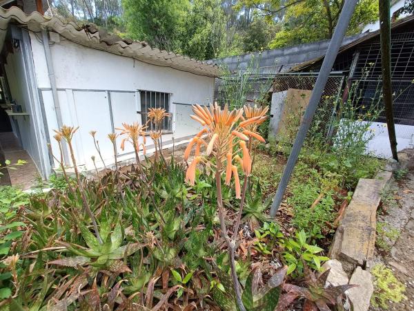 Terreno en Torrelles de Llobregat