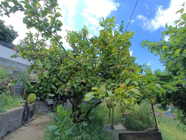 Terreno en Torrelles de Llobregat