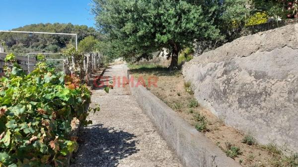 Terreno en calle del Sol