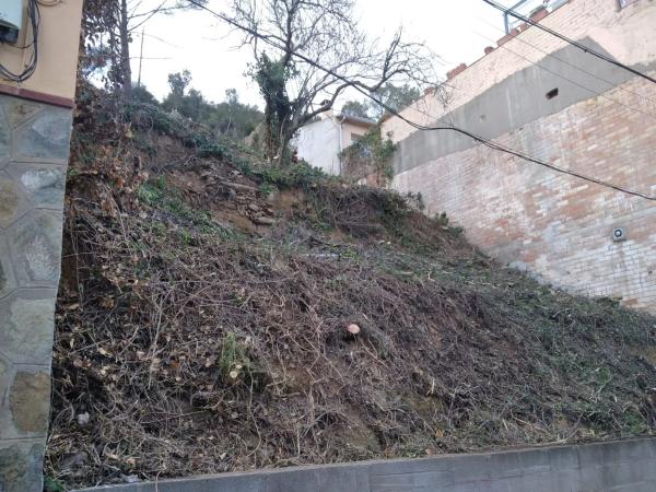Terreno en calle Raval Janer