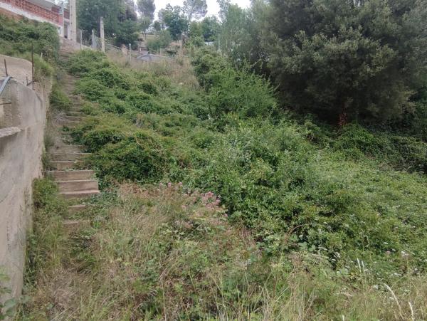 Terreno en calle de les Vinyes, 9