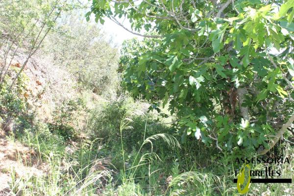 Terreno en calle Montserrat Roig