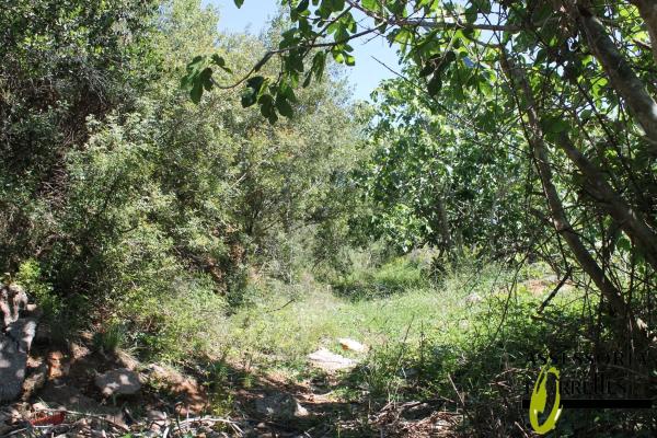 Terreno en calle Montserrat Roig