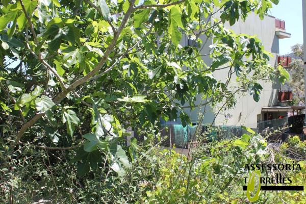 Terreno en calle Montserrat Roig