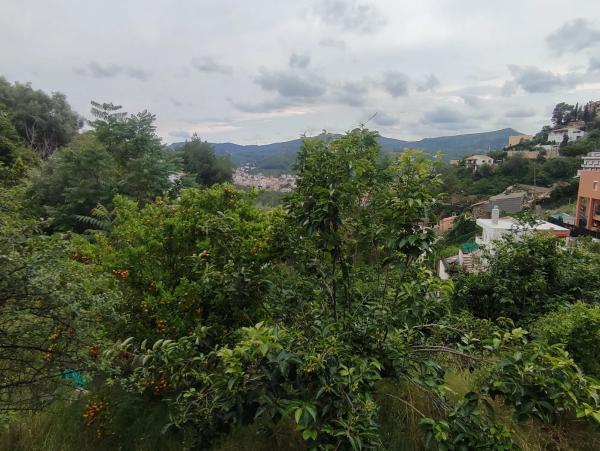 Terreno en calle de les Vinyes, 9