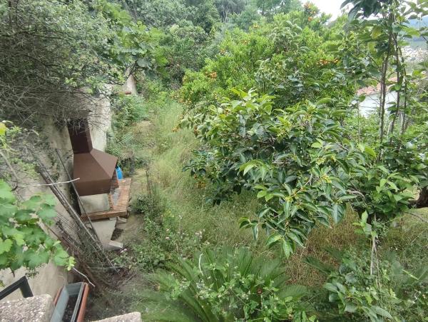 Terreno en calle de les Vinyes, 9