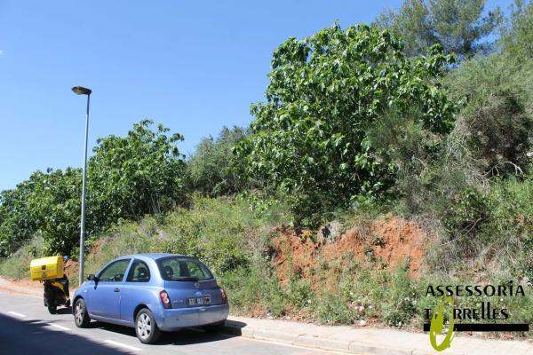 Terreno en calle Montserrat Roig