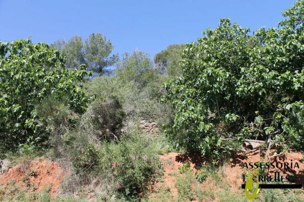Terreno en calle Montserrat Roig
