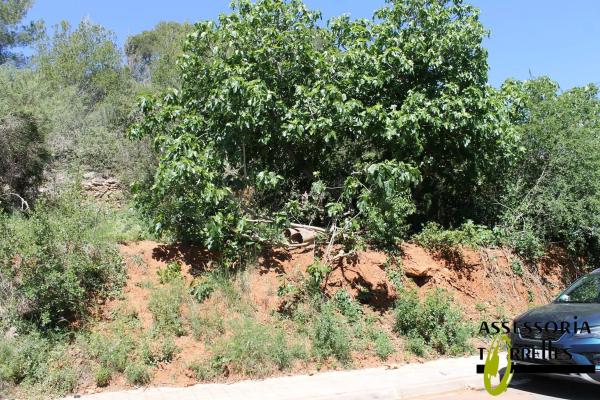 Terreno en calle Montserrat Roig