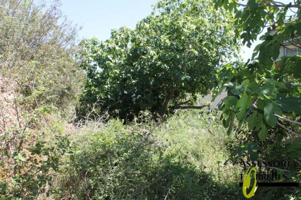 Terreno en calle Montserrat Roig