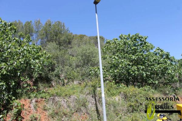 Terreno en calle Montserrat Roig