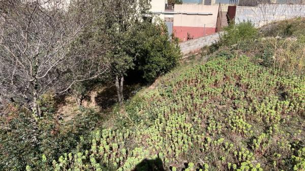 Terreno en Torrelles de Llobregat