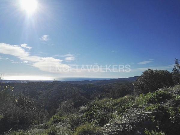 Terreno en Torrelles de Llobregat