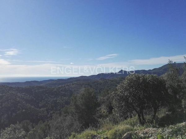 Terreno en Torrelles de Llobregat
