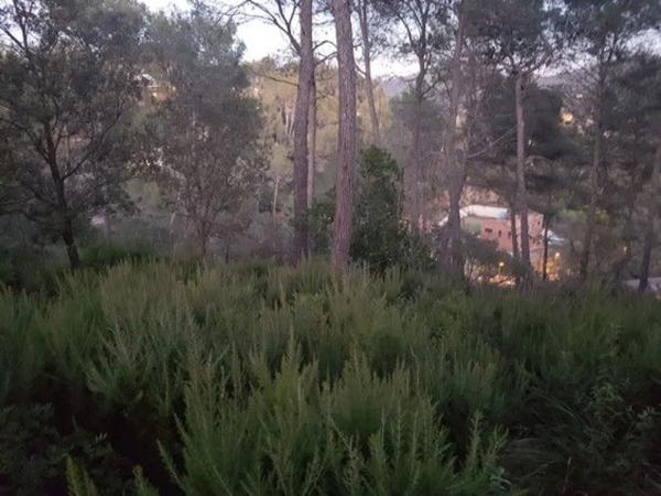 Terreno en Torrelles de Llobregat