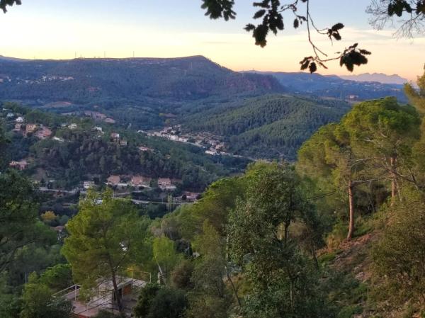 Terreno en tabor, 14