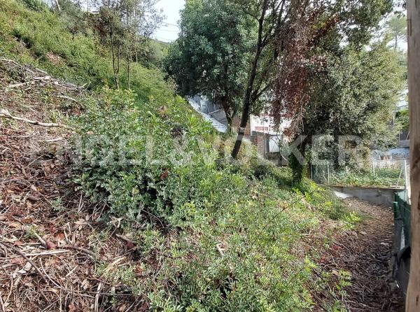 Terreno en Torrelles de Llobregat
