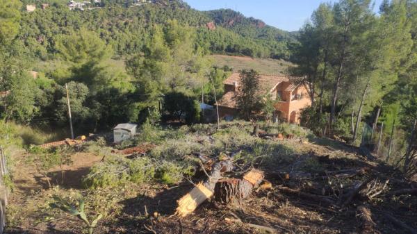 Terreno en calle 24, 52