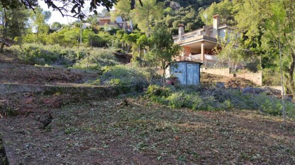 Terreno en calle 24, 52