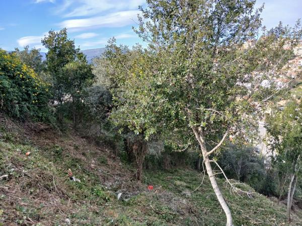 Terreno en calle de les Vinyes, 1