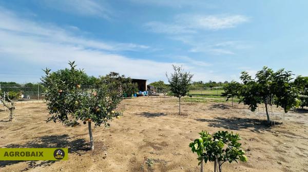 Terreno en camino del Mar