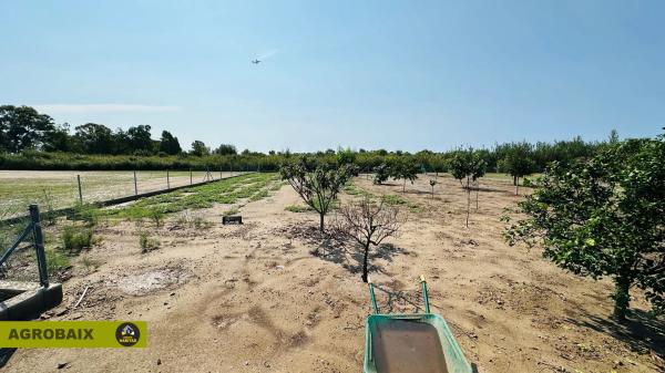 Terreno en camino del Mar