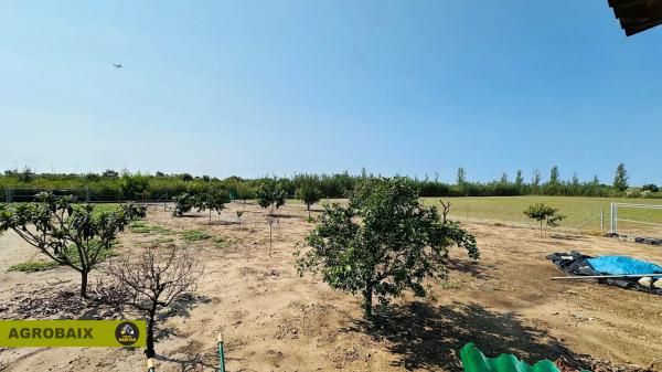 Terreno en camino del Mar